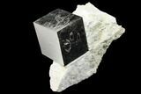 Shiny, Natural Pyrite Cube In Rock - Navajun, Spain #131099-1